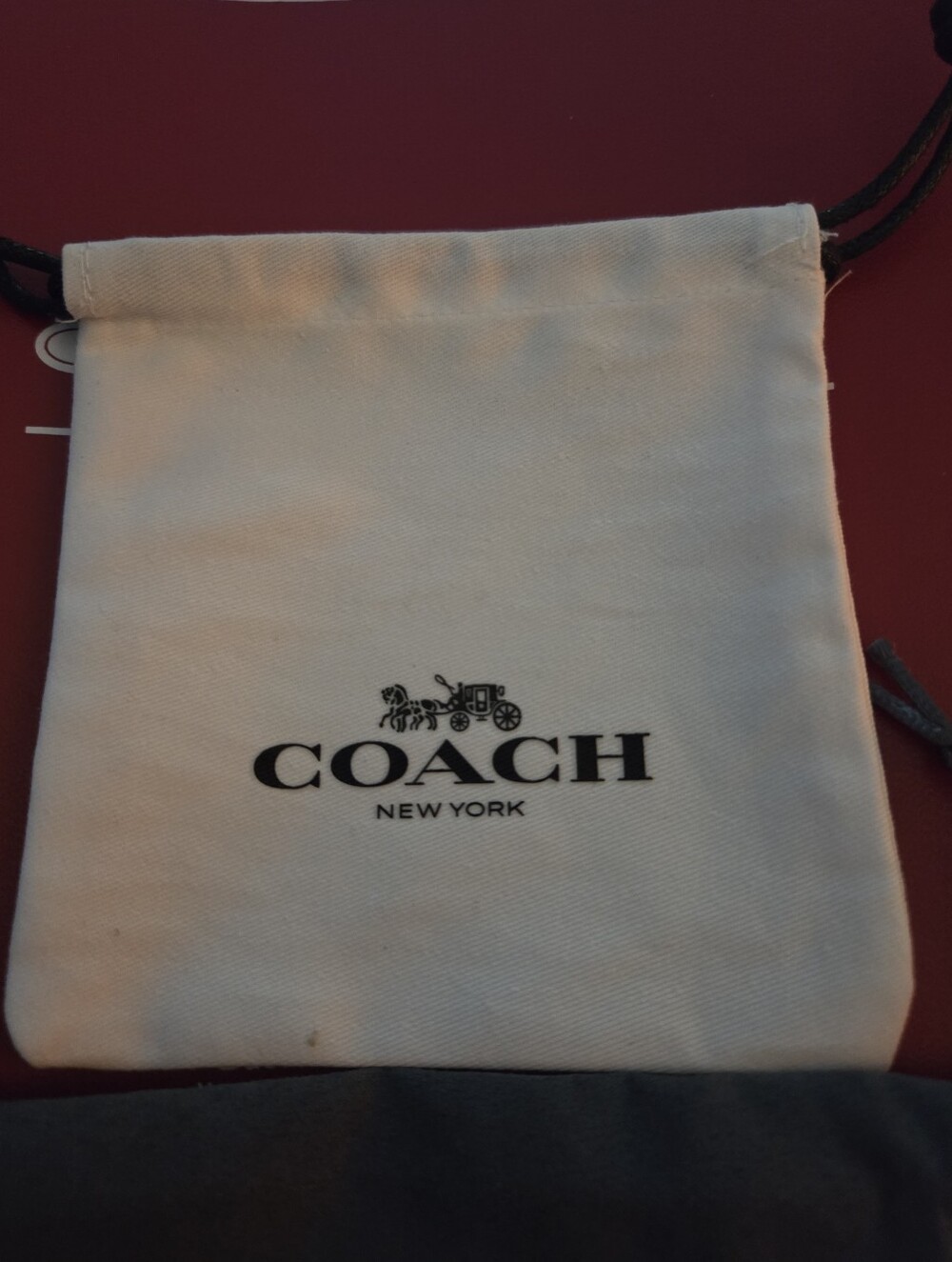 Coach Sunglasses Stylish Black Sunglasses